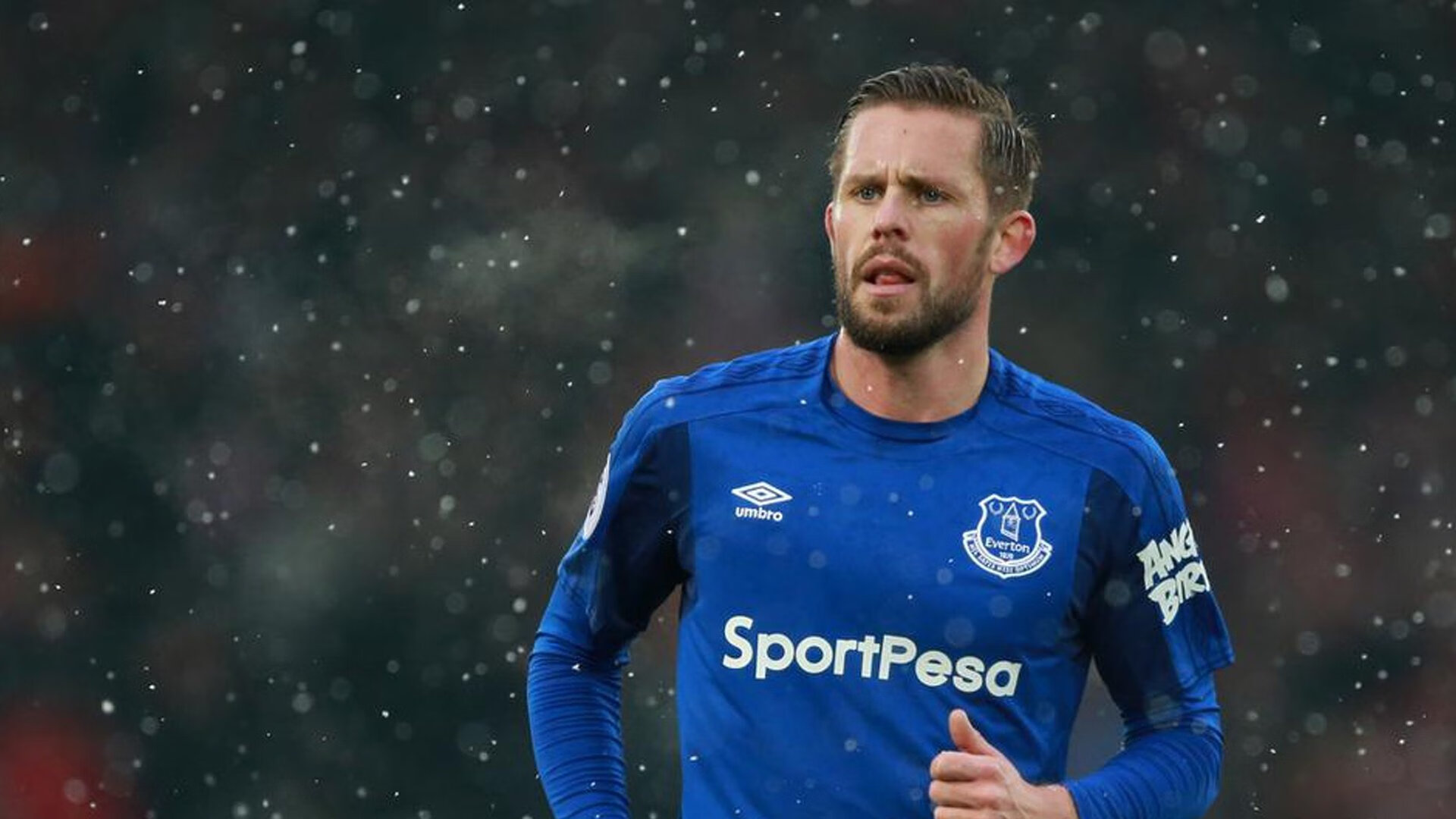 法甲球员在连续作战中的技术动作稳定性预测模型构建，法甲的水平